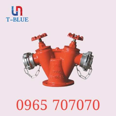 Trụ cứu hỏa 2 cửa TQ D100