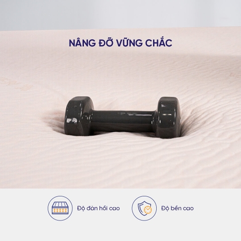 NỆM CAO SU THIÊN NHIÊN CLASSIC LIÊN Á
