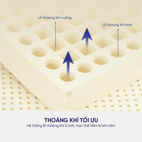 NỆM CAO SU THIÊN NHIÊN CLASSIC LIÊN Á