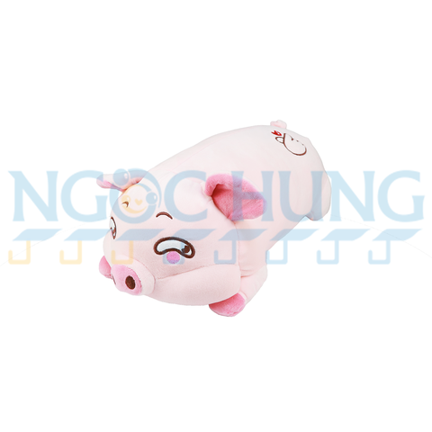 GẤU BÔNG HEO
