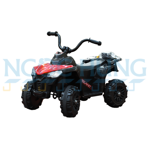 Xe mô tô điện 4 bánh địa hình BJQ-V8