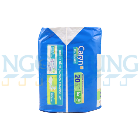 Tấm lót Caryn 20 miếng