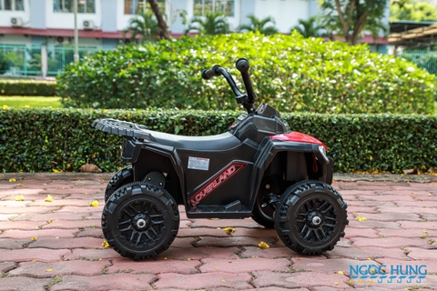 Xe mô tô điện 4 bánh địa hình BJQ-V8
