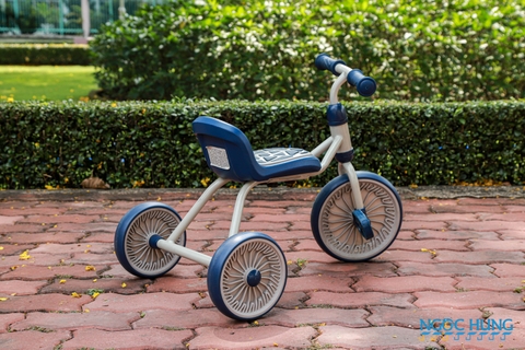 Xe đạp 3 bánh luddy 1121-JV-1030-B