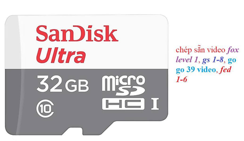 Thẻ video 32gb để xem