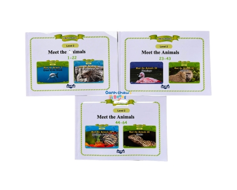 LITTLE FOX - Level 2 - Meet the Animals