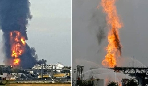 BASF declares Force Majeure on vitamin A, E and carotenoid product deliveries after plant fire