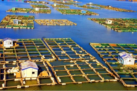 What is the secret to the success of China's aquaculture industry?