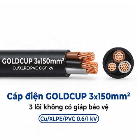 Cáp điện 3 lõi không có giáp bảo vệ GOLDCUP 3×150 – Cu/XLPE/PVC 0,6/1kV