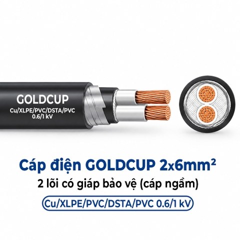 Cáp Điện GOLDCUP 2 Lõi Có Giáp Băng Thép DSTA 2×6mm² – Cu/XLPE/PVC/DSTA/PVC 0,6/1kV