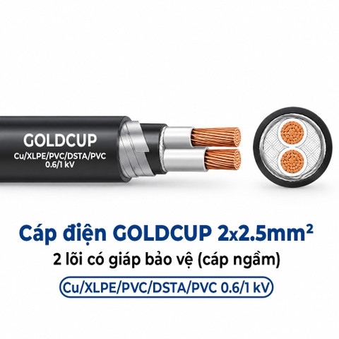 Cáp Điện GOLDCUP 2 Lõi Có Giáp Băng Thép DSTA 2×2,5mm² – Cu/XLPE/PVC/DSTA/PVC 0,6/1kV