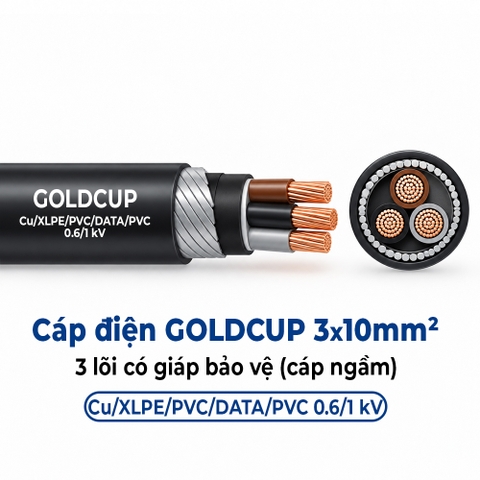 Cáp Điện GOLDCUP 3 Lõi Có Giáp Băng Thép DSTA 3×10mm² – Cu/XLPE/PVC/DSTA/PVC 0,6/1kV