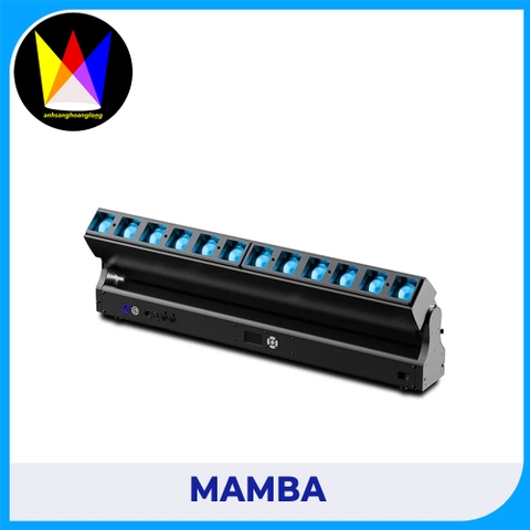 MAMBA