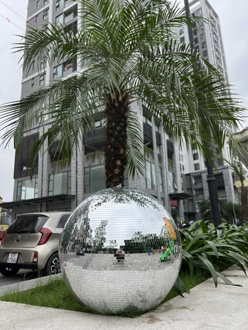 Quả Cầu Gương - Quả Trái Trâu 60cm