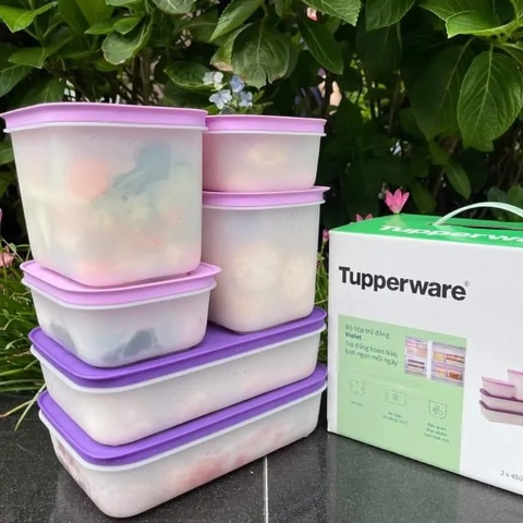 Bộ Hộp Tupperware Trữ Đông Violet (6 Hộp)