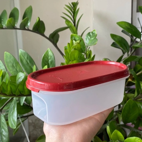 Hộp Tupperware khô 500ml - nắp đỏ