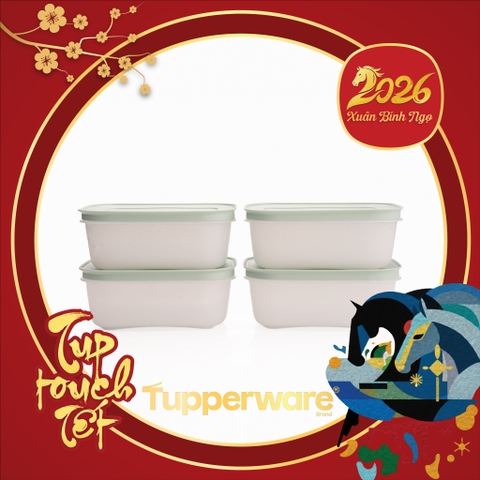 Hộp Đựng Thực Phẩm Tupperware Trữ Đông  Freezable 450ml  - Đông Dẻo - New Tupperware Chính Hãng