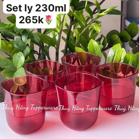 Tuptrung - Cốc Tupperware 230ml