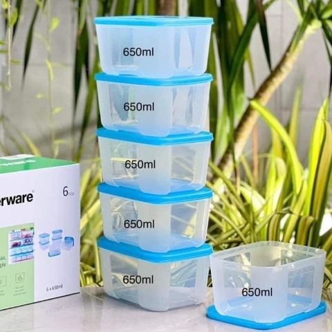 Combo Tuptrung Set 6 Hộp Đông Basic 650ml Nắp Xanh (6 Hộp)