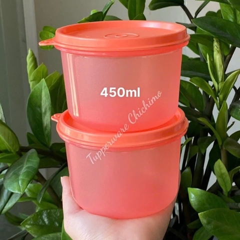 Hộp Tupperware Mát Tròn Snack & all 450ml - Tupperware Malaysia Chính Hãng