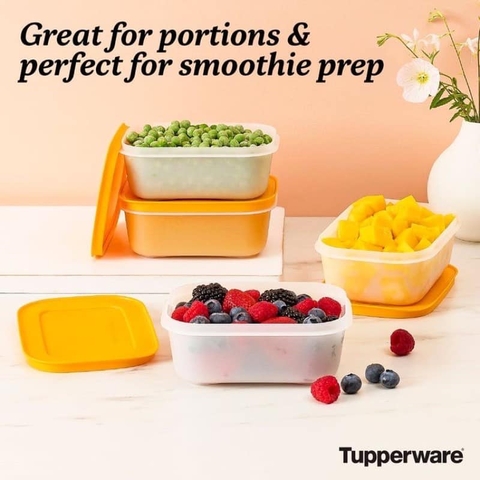 Hộp Lẻ Tupperware Đông Dẻo 450ml