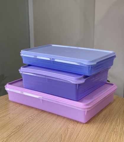 Hộp Tupperware Trữ Mát Cold Cut Keeper - Tupperware Malaysia Chính Hãng
