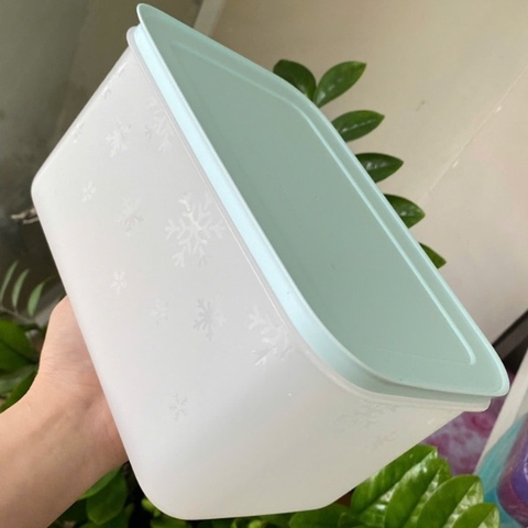 Hộp Đông Dẻo Tupperware Tách Set 2.5L