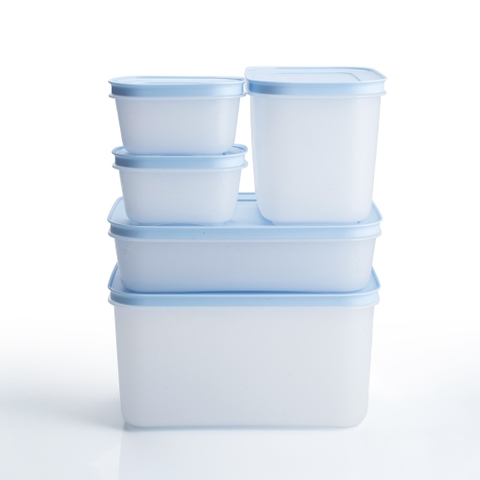 Bộ 5 Hộp Trữ Đông Tupperware Gen II 170ml, 1.1L, 1L, 2.5L