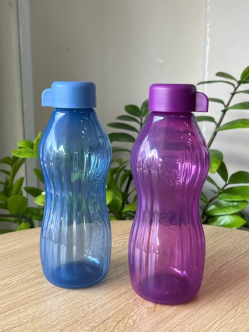 TupMalay - Bình Nước Ngăn Đông Tupperware 500ml