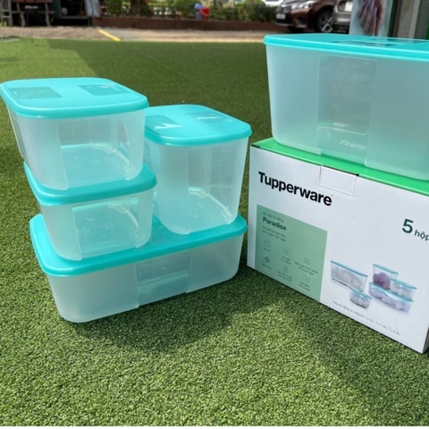 Bộ Hộp Tupperware Trữ Đông Paradise (5 hộp)