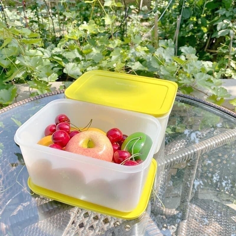 Hộp Đông Dẻo Tupperware Tách Set 2.5L