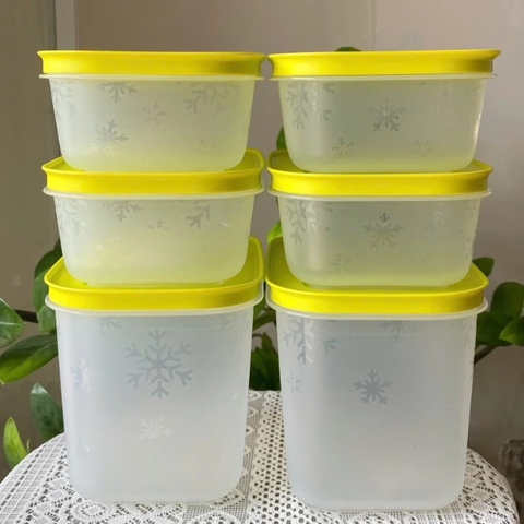 Hộp Tupperware Trữ Đông 1.1L- Đông Thân Trong Nắp Cốm - Tupperware Trung Chính Hãng