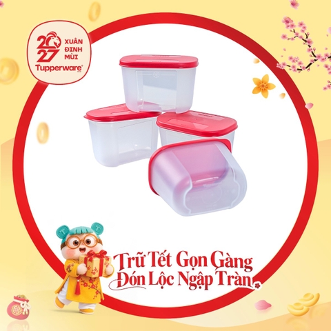 Bộ 4 Hộp Trữ Đông Tupperware Dateline Mini Double 300ml