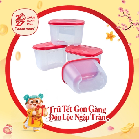 Bộ 4 Hộp Trữ Đông Tupperware Dateline Mini Double 300ml