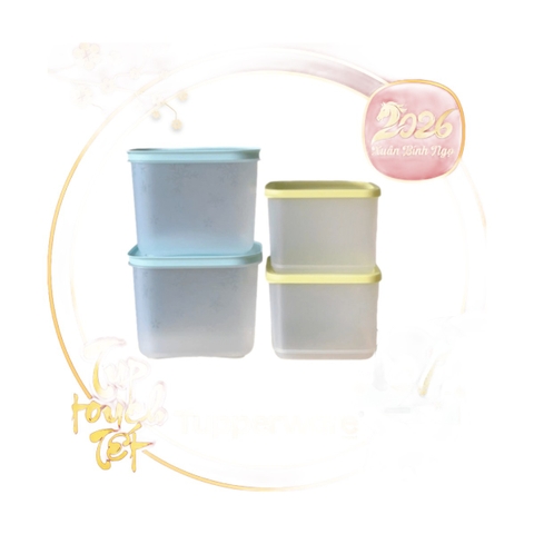Bộ 4 Hộp Trữ Đông Và Mát Tupperware Starter Set II
