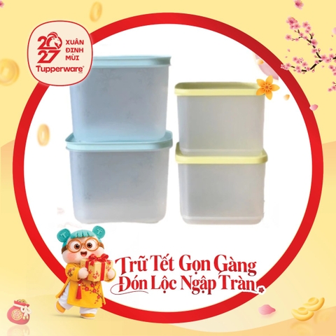 Bộ 4 Hộp Trữ Đông Và Trữ Mát Tupperware Starter Set II