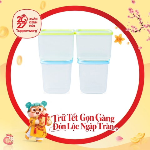 Bộ 4 Hộp Trữ Đông Và Trữ Mát Tupperware Starter Set II