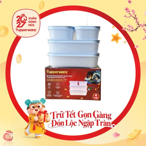 Bộ 4 Hộp Trữ Đông Tupperware Gen II 450ml & 1L Đông Dẻo
