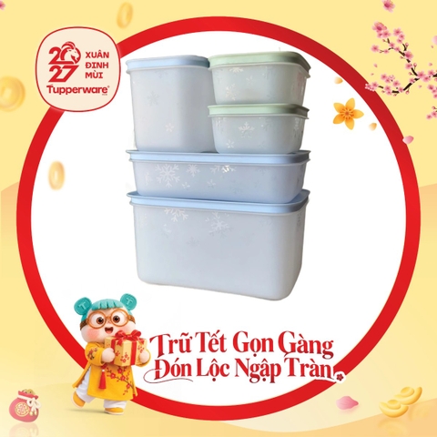Bộ 5 Hộp Trữ Đông Tupperware Gen II Đông Dẻo (Mẫu 2)