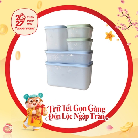 Bộ 5 Hộp Trữ Đông Tupperware Gen II Đông Dẻo Cao Cấp (Bộ 2)