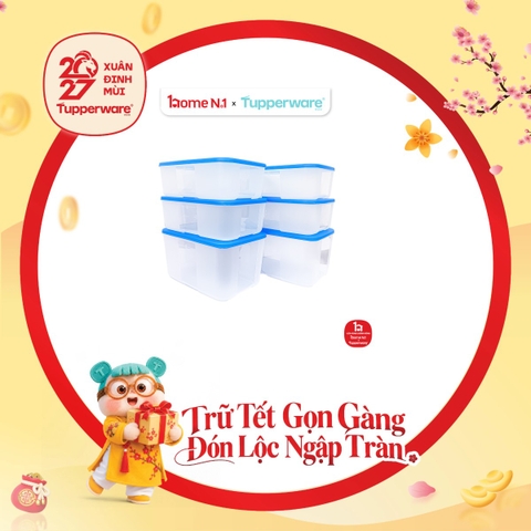 Bộ 6 Hộp Trữ Đông Tupperware Gen I Medium 2.3L & 1.5L - Nắp Hồng