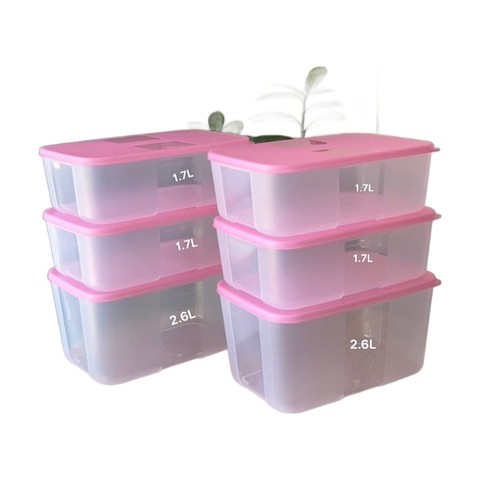 Bộ 6 Hộp Trữ Đông Tupperware Gen I Medium 2.3L & 1.5L - Nắp Hồng