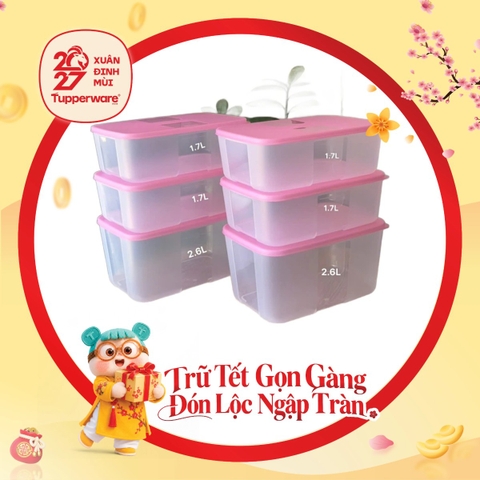 Bộ 6 Hộp Trữ Đông Tupperware Gen I Medium 2.3L & 1.5L - Nắp Hồng