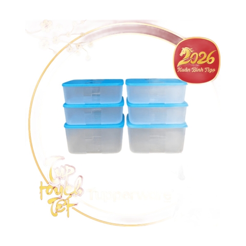 Bộ 6 Hộp Trữ Đông Tupperware Gen I Medium 2.3L & 1.5L