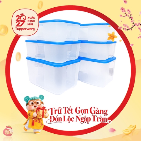 Bộ 6 Hộp Trữ Đông Tupperware Gen I Medium 2.3L & 1.5L