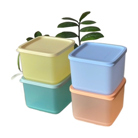 Bộ 4 Hộp Trữ Mát Tupperware Medium Square Round 1L - Màu 2026