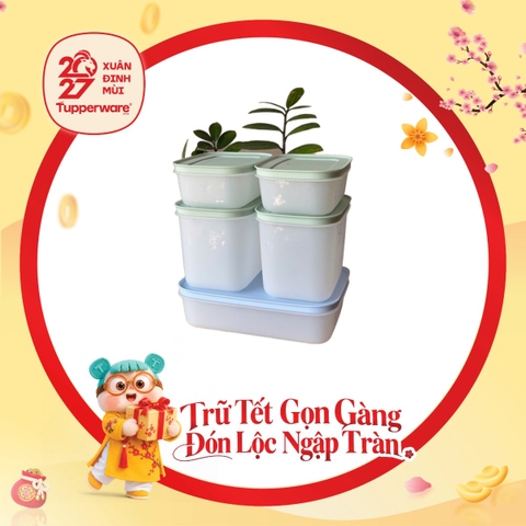 Bộ 5 Hộp Trữ Đông Tupperware Gen II 450ml, 1.1L, 1L Đông Dẻo Cao Cấp