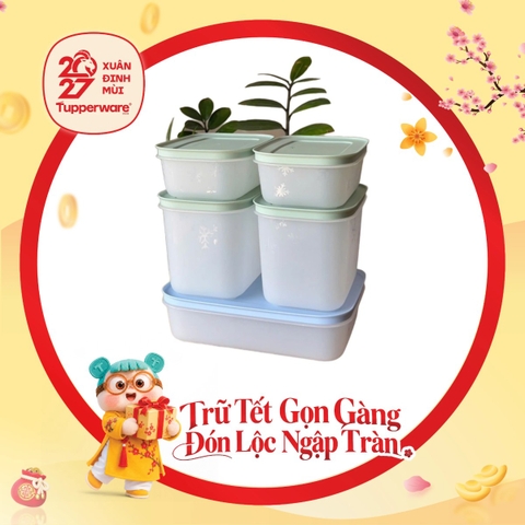 Bộ 5 Hộp Trữ Đông Tupperware Gen II 450ml, 1.1L, 1L Đông Dẻo