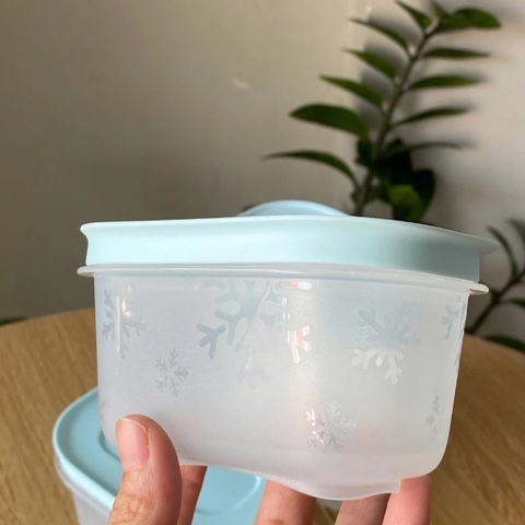 Hộp Tupperware Trữ Đông 170ml  - Thân Trong Nắp Xanh mint - Tupperware Malaysia Chính Hãng