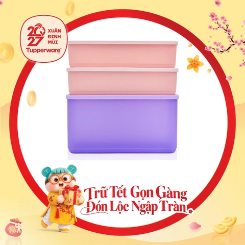 Bộ 3 Hộp Trữ Mát Tupperware Cubix Rectangle 3.1L & 1.4L